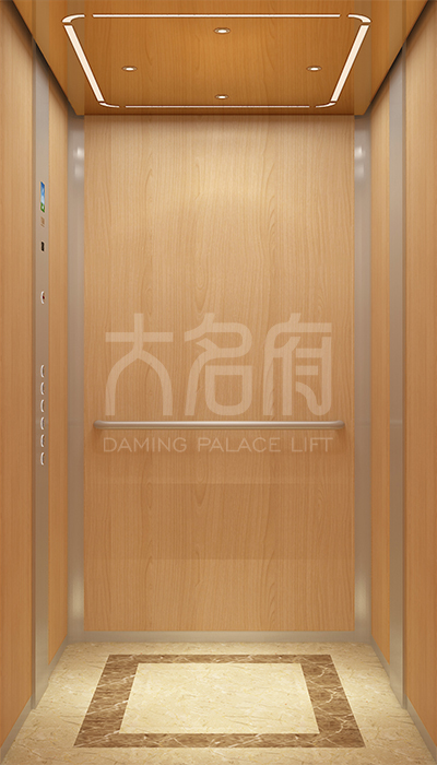 簡(jiǎn)約風(fēng)別墅電梯E01