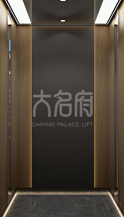 簡(jiǎn)約風(fēng)別墅電梯F13